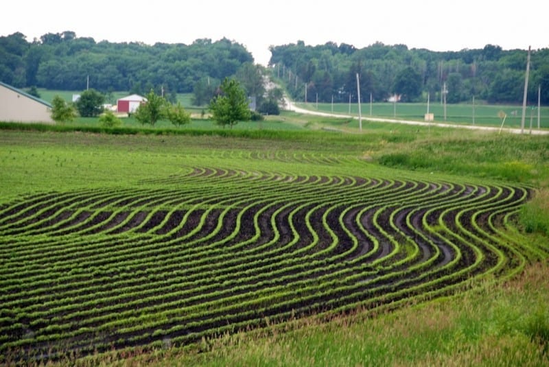 What Is Contour Ploughing