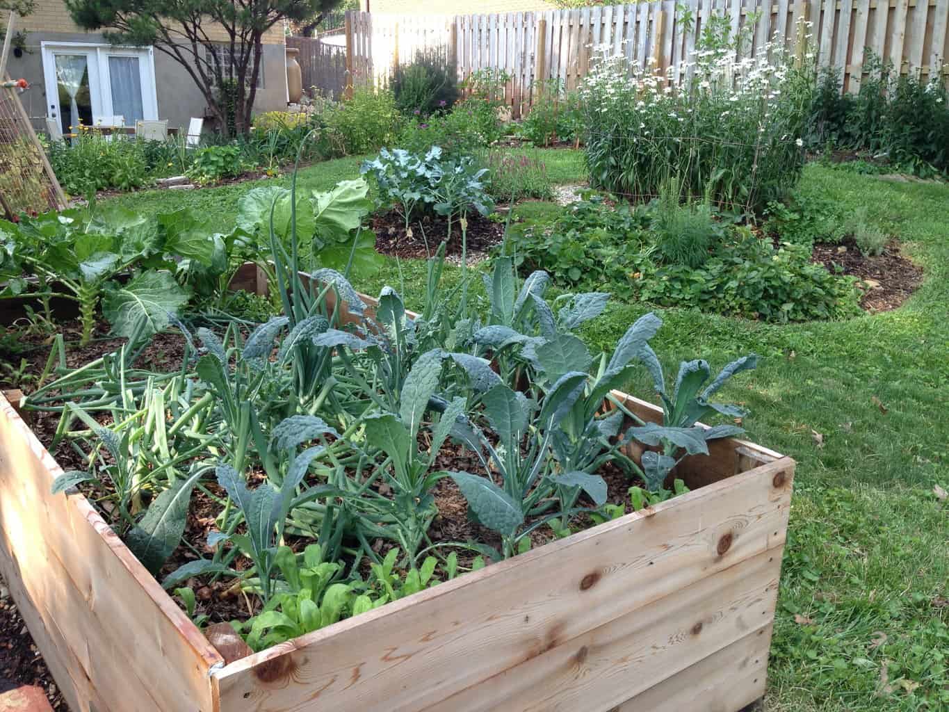 Benefits of the Edible Forest Garden | Tenth Acre Farm