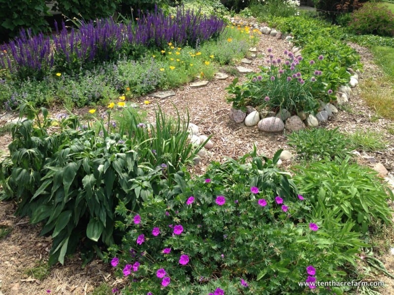 See How Easily You Can Create an Edible Landscape | Tenth Acre Farm